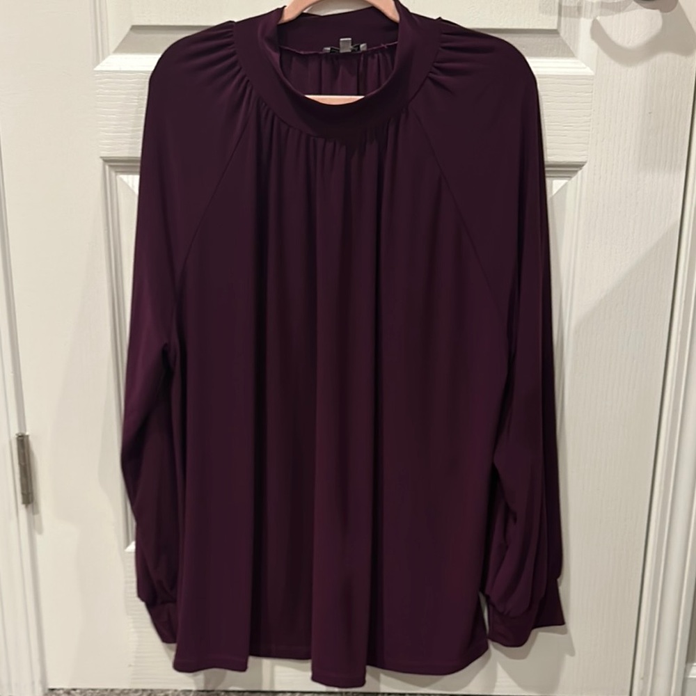 Whit Birch 3x super soft blouse. Pleated sleeves and high neck.
